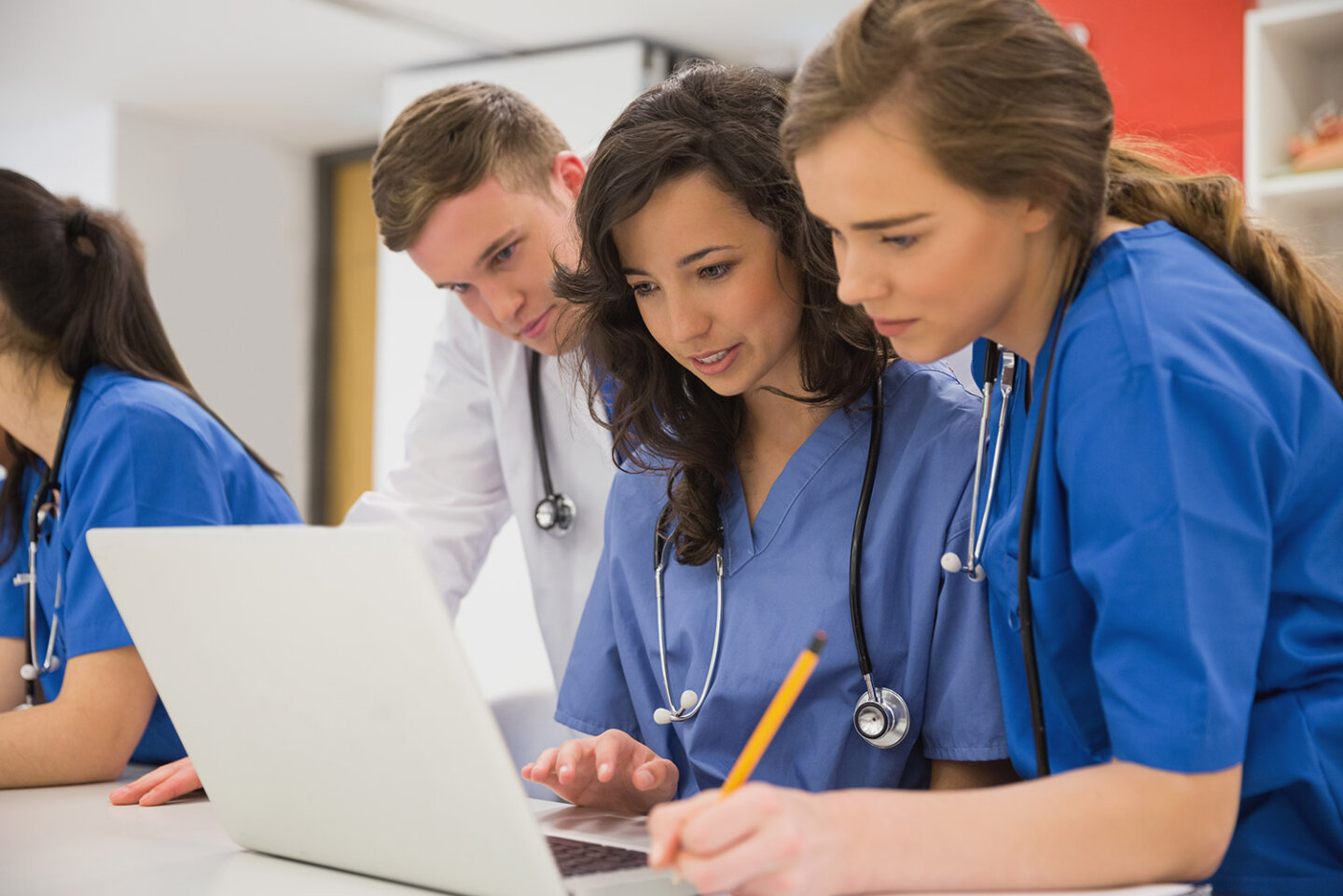 HamNat Aufbau: Alles was du zum HamNat wissen musst!