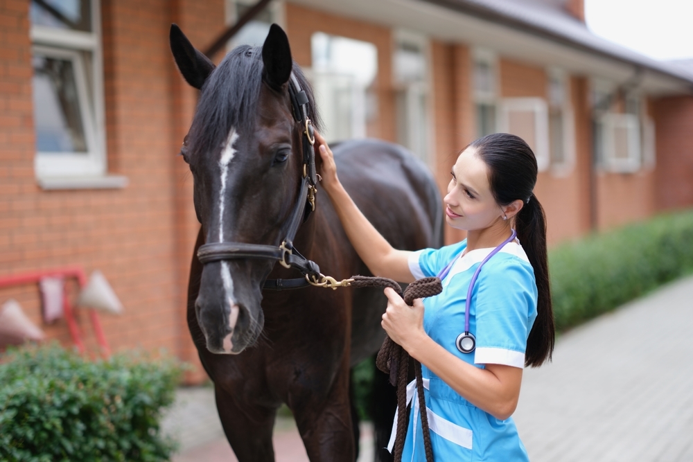 Tiermedizin NC